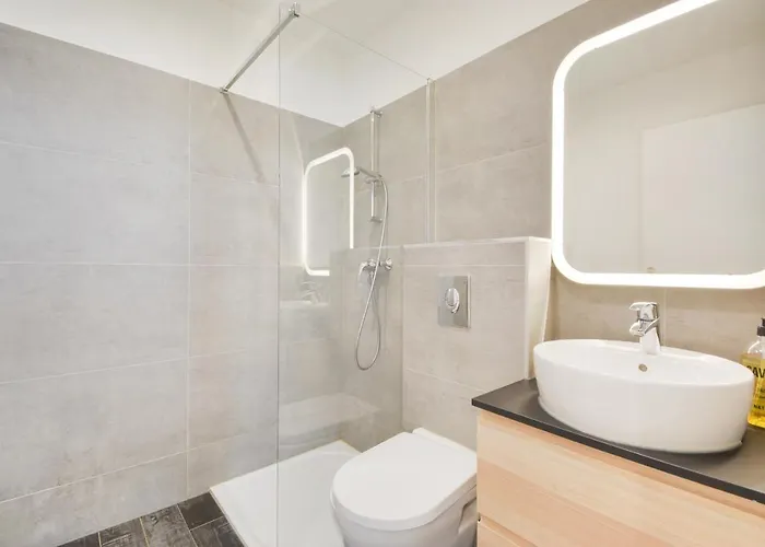 Appartement Le Cocon Des Ponts Nancy